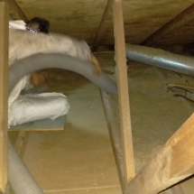 911 Attic Services Cleaning and Insulation