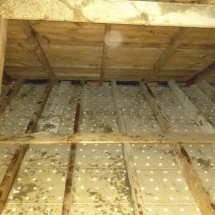 Attic Cleaning and Rodent Proofing in Process