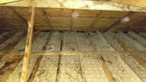 911-Attic-Cleaning and Rodent Proofing in Process San Diego
